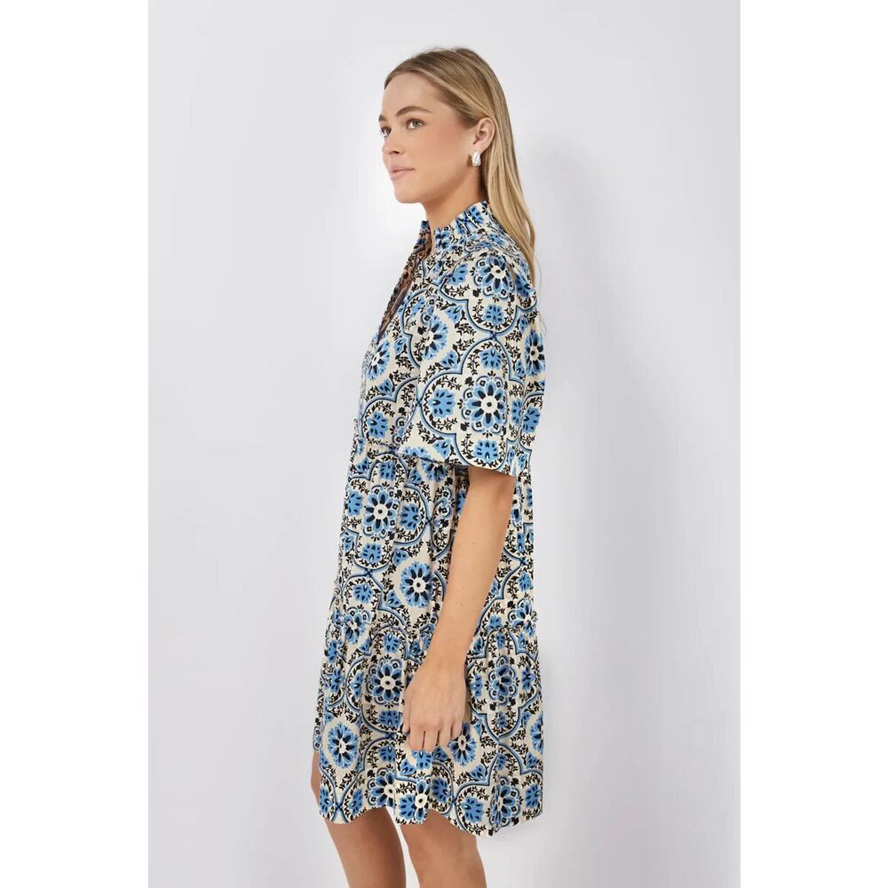 Tuckernuck Golden Medallion Crawford Dress Size Medium Flutter Ruffle Mini Blue - Picture 8 of 16